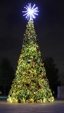 Tall outdoor twinkling Christmas tree covered in warm white lights and ornaments, topped with a glowing star against a dark night sky.