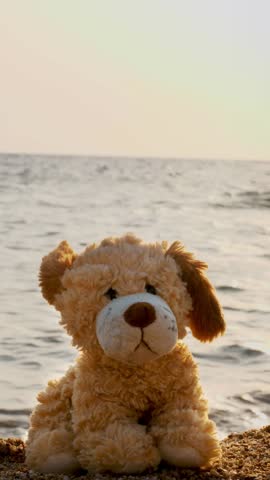 Close-up, toy dog sits on a sandy beach lonely, against the backdrop of the sea, sunrise or sunset.