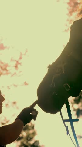 Horse love. Silhouettes of a young woman and her horse, at sunset, in summer forest. backlight. friendship between man and horse. Equitation.