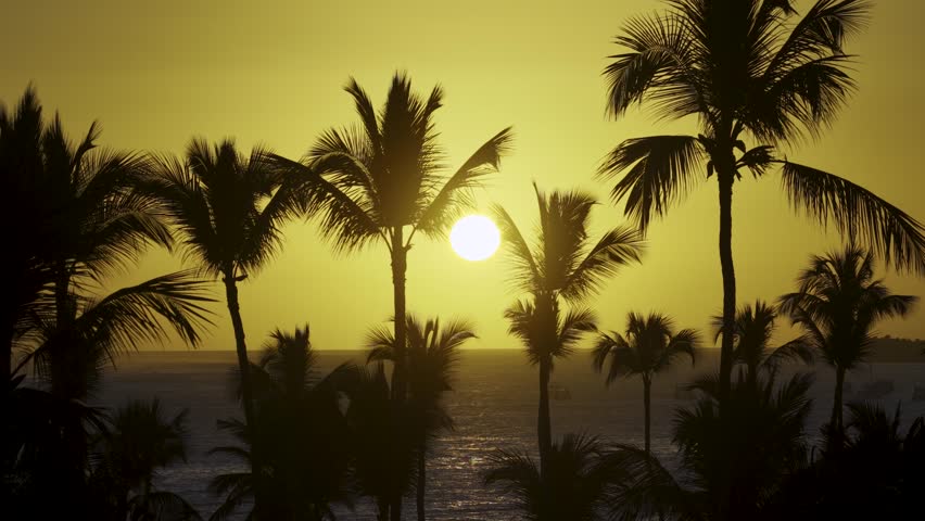 Sunrise Beach At Bavaro In Punta Cana Dominican Republic. Sunrise Skyline. Beach Landscape. Nature Seascape. Sunrise Beach In Bavaro In Punta Cana Dominican Republic. Scenic Palm Trees.