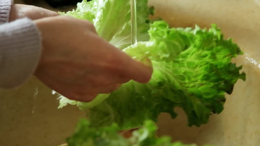 Slow motion video of fresh lettuce leaves being washed under running water at kitchen faucet