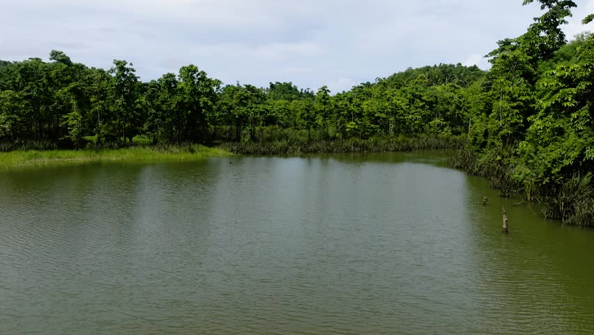 Calm water surface bordered by mangroves and forest with distant green hills. Siargao, Philippines.