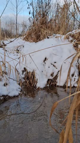 A small stream, flowing through snow-covered banks and dry grass in winter, reflects the tranquility of nature. A seasonal landscape with calm water, snow, and withered vegetation.