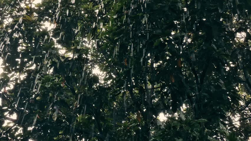 Heavy monsoon rain pouring through dense green tree leaves during a dark storm, captured with a cinematic Oppenheimer style mood.