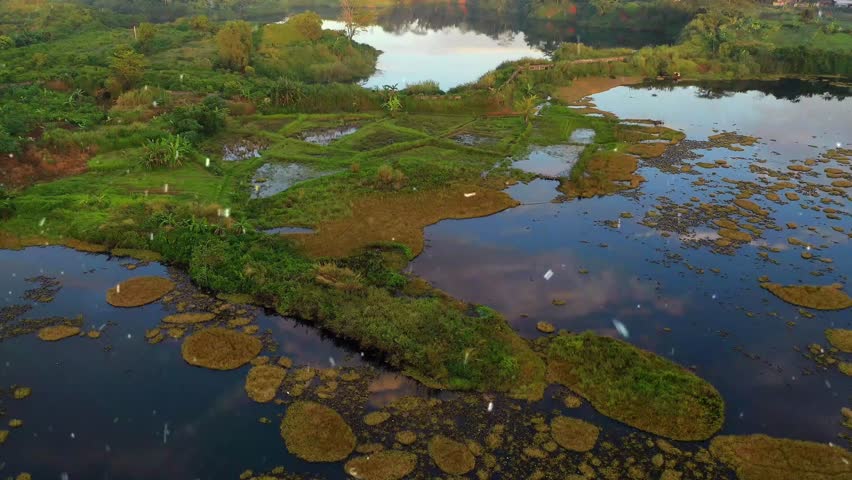 Drone flight over a serene wetland landscape as gentle snow begins to fall from overcast skies, transforming the marshes and waterways into a peaceful winter scene.