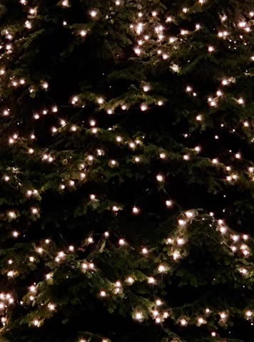 Tall Christmas tree decorated with warm white lights against a dark night background, creating a festive and elegant holiday atmosphere.