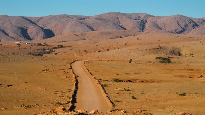 A long, winding dirt road cuts through a vast, arid desert landscape, leading towards a range of mountains under a clear sky. The scene evokes a sense of journey, isolation, and the raw beauty of natu