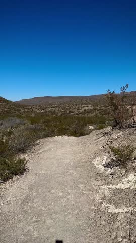 Desert Expanse Beyond Bend in Trail (Big Bend Ranch State Park, Texas, USA)