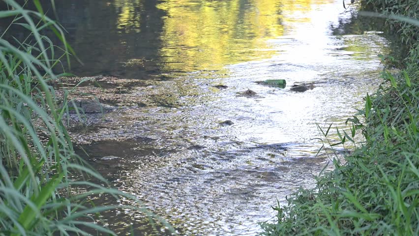 River, calm waters of a small river in Brazil. Slow motion, 4k, selective focus.