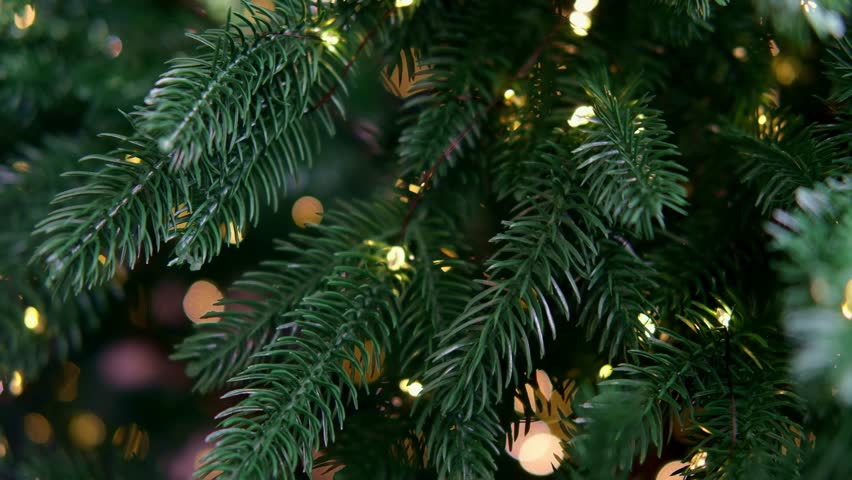 close up of a Christmas tree with bokeh