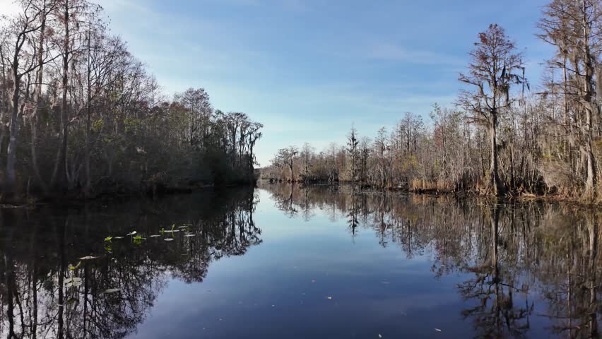 Okefenokee National Wildlife Refuge, Folkston, Georgia