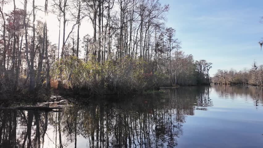 Okefenokee National Wildlife Refuge, Folkston, Georgia
