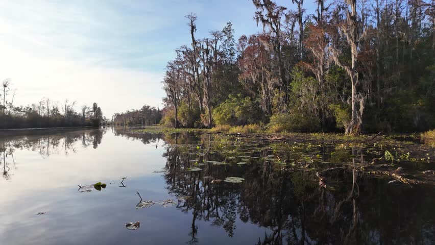 Okefenokee National Wildlife Refuge, Folkston, Georgia