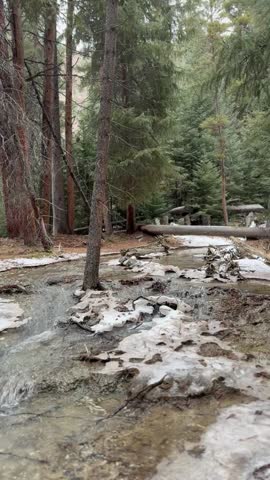 Creek Snow Woods Hiking Trail Colorado