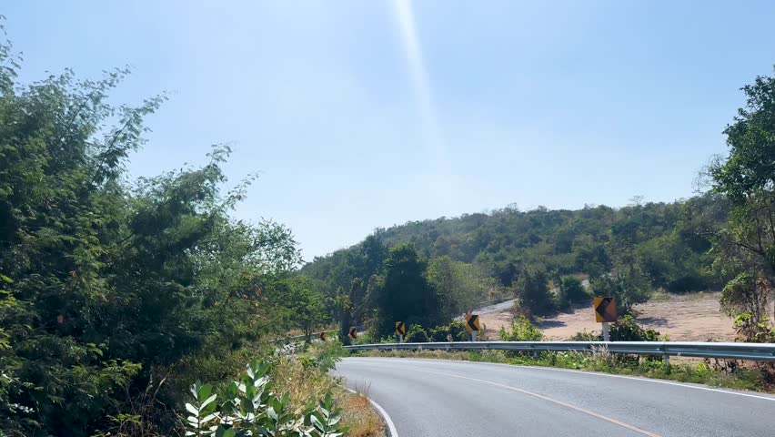 Point-of-view drive along winding rural forest road with curve warning signs under bright sunlight