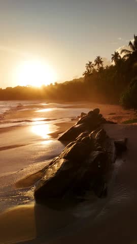 Tropical beach sunset, vibrant golden color skyline above sandy shore in Sri Lanka