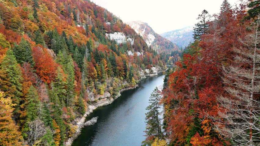 Doubs River flowing through a deep limestone gorge near Saut du DoubsSaut du Doubs, France with colourful autumn broadleaf trees dropping to water in the Jura mountains, Bourgogne‑Franche‑Comté aerial