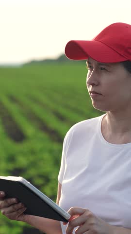 Agriculture, Female portrait in farming field, Green sprouts at dusk, Woman analyzing crops on tablet, Farm technology expert, Happy rural worker, Smiling farmer at sunset, Tech-savvy woman in agri