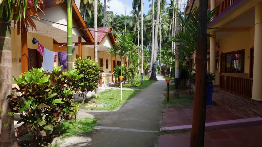 peaceful resort entrance path framed by tall swaying coconut palms