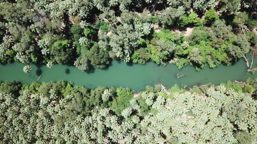 Top-down drone view of the Adelaide River in Australia’s Northern Territory, showing winding water framed by dense green vegetation and natural landscape.