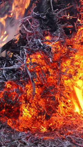 A close-up of a blazing bonfire. The burning branches emit sparks. A fragment of the burnt branches slowly falls away from the scorching heat. The beauty of the fire element. A gentle camera pan to the right. Vertical view.