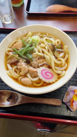 Japanese udon noodle soup or stew served in bowl in asian local restaurant. Quality food in traditional preparation style. POV shot from phone camera by travel or food vlogger or influencer content