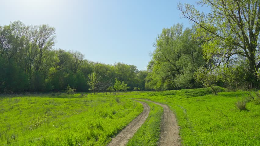 Walking through forest path, beautiful spring landscape with its green grass and trees creates a stunning natural scene
