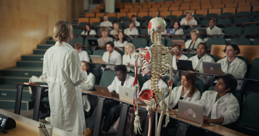Anatomy Professor in Lab Coat Explains Skeletal and Muscular Structures Using a Full-body Model, Medical Students Listen, Type on Laptops, Take Detailed Notes During an Interactive University Lecture