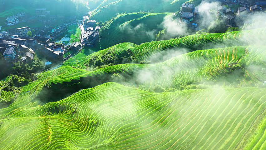 
Aerial shot of the spectacular Longji Terraced Fields and village landscape with morning fog in Guilin, China.