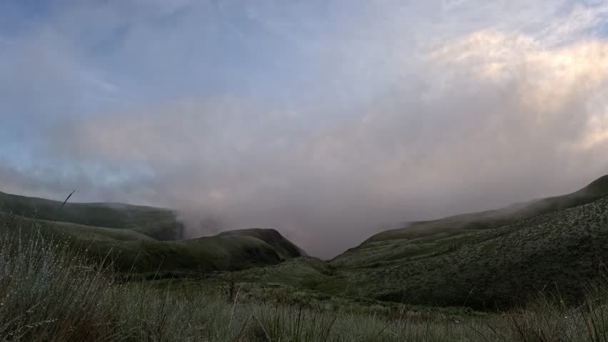 Timelapse of wispy clouds and sunrise over mountain valley. Stunning reflections off the dew. Drakensberg, South Africa