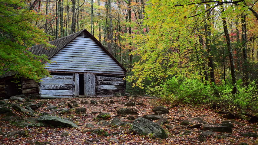A historic shed near the Ben Ogle cabin in the Great Smoky Mountains surrounded by trees blowing in the wind at dawn.