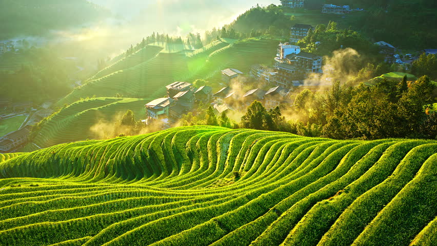 Aerial shot of the spectacular Longji Terraced Fields and village landscape at sunrise in Guilin, China.