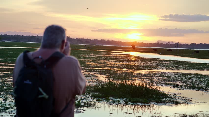 Tourist photographer captures wildlife in a rural wetland landscape with reflections and evening light.