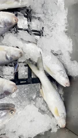 A close-up vertical shot of several whole, silver-white fish with yellow fins lying on crushed ice in a market bin.