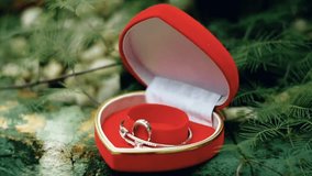 A red heart-shaped box holds a diamond ring and a bracelet, placed on mossy ground surrounded by lush green ferns. Perfect slow-motion footage for proposal, wedding, and Valentine’s Day concepts. - Powered by Shutterstock - Get 15% off with code: PIKWIZARD15