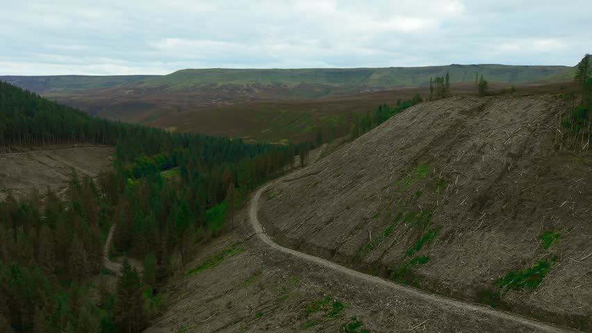 Logging transforming mountain slope into barren land. Tree removal stripping forest leaving desolate landscape. Woodland clearing exposing hillside causing soil erosion