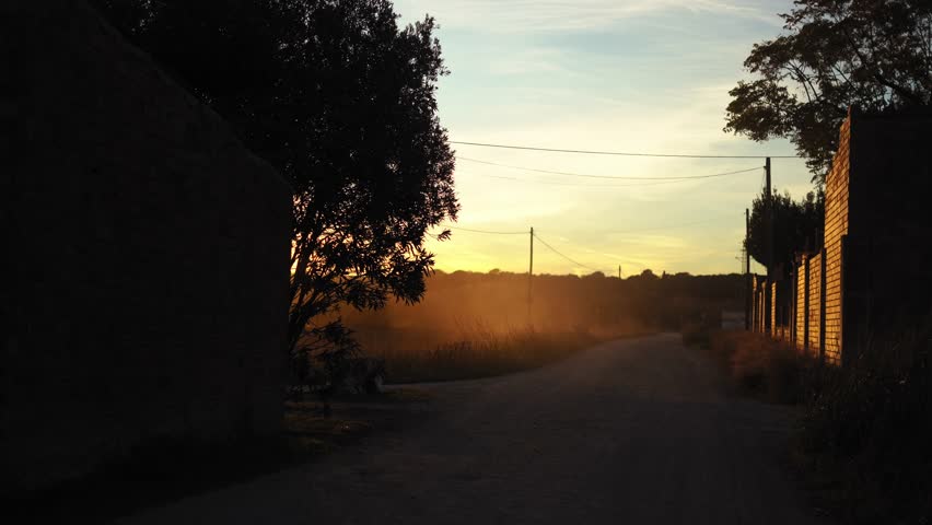 Beautiful meadow during the sunset