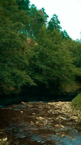 Mountain stream flowing between green forest slopes under bright sky, vertical orientation. River running through rocky valley surrounded by dense trees and natural landscape. Water gently moving