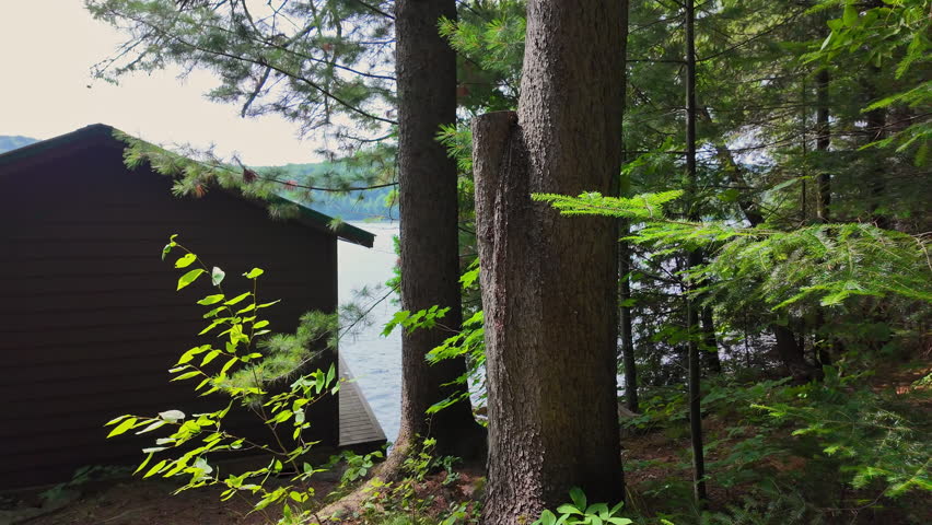 Boat house at sunny summer day. Idyllic vacation cottage in Canadian nature. View near beautiful lake. Canadian wilderness. Perfect spot for a holiday. Cottage life.