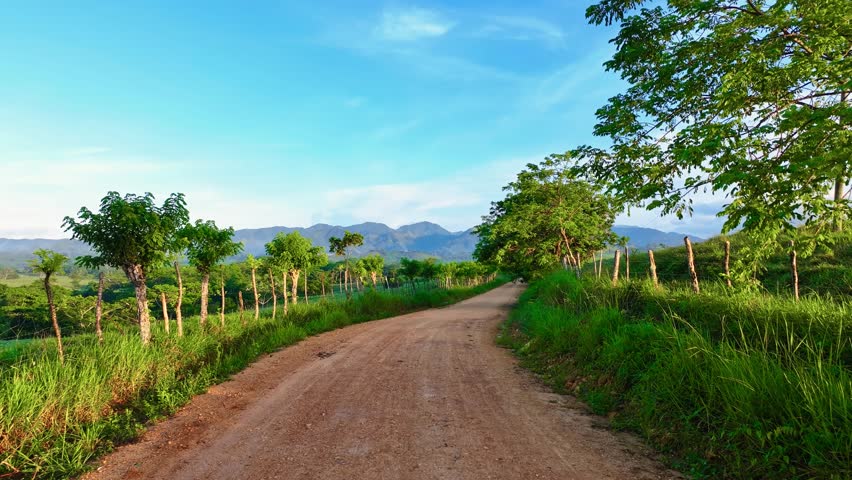 A dirt road in the mountains. A gravel hiking trail through a meadow in the mountains. A road with many curves through the forest. Aerial view. Drone footage. Summer in the mountains.