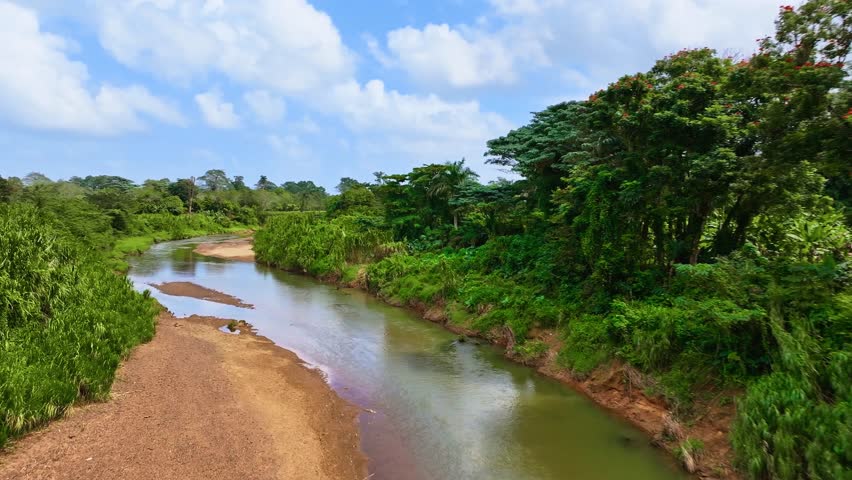 Aerial view of a river in a tropical national park. Beautiful destination in the Dominican Republic. Travel and landscape concept. Natural background. Wild tropical plants nature concept.