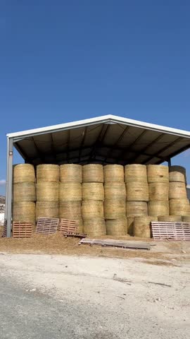 Stacked hay bales stored under farm shelter against blue sky. Rural agriculture scene represents farming industry, harvest season, countryside economy. Large hay bales stacked in agricultural storage