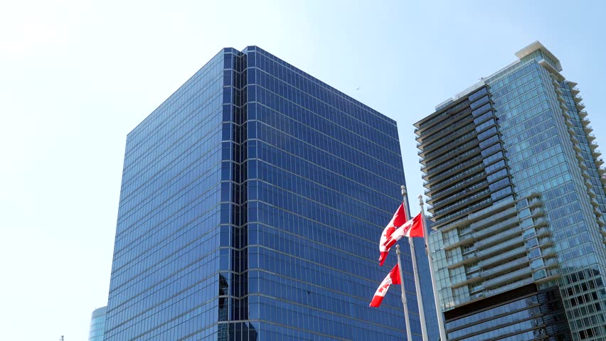 Canadian flags waving vigorously against blue sky, mounted on poles in front of modern downtown vancouver skyscrapers, symbolizing national pride and urban sophistication