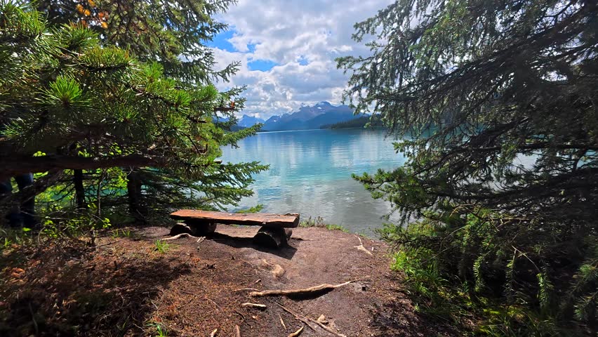 Weathered wooden bench nestled among evergreen trees overlooking turquoise maligne lake, capturing breathtaking mountain vistas in jasper national park, alberta