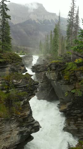 Powerful athabasca falls cascading through narrow gorge in jasper national park, mist rising from churning water and evergreen trees clinging to rocky cliffs