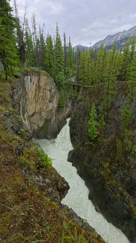 Powerful athabasca falls cascading through narrow rocky gorge, surrounded by lush green vegetation and scenic bridge in jasper national park, canadian rockies