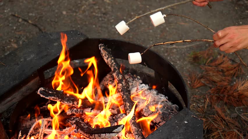 Tourists roasting golden marshmallows near crackling campfire, surrounded by majestic forest landscape in banff national park, embodying serene wilderness camping moments
