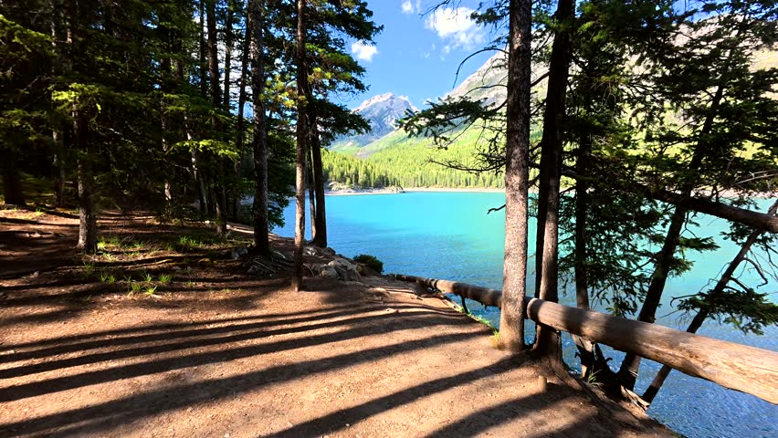 Sunlight filters through the trees onto the shore of the turquoise lake minnewanka, nestled amidst the rugged mountains of banff national park in the canadian rockies
