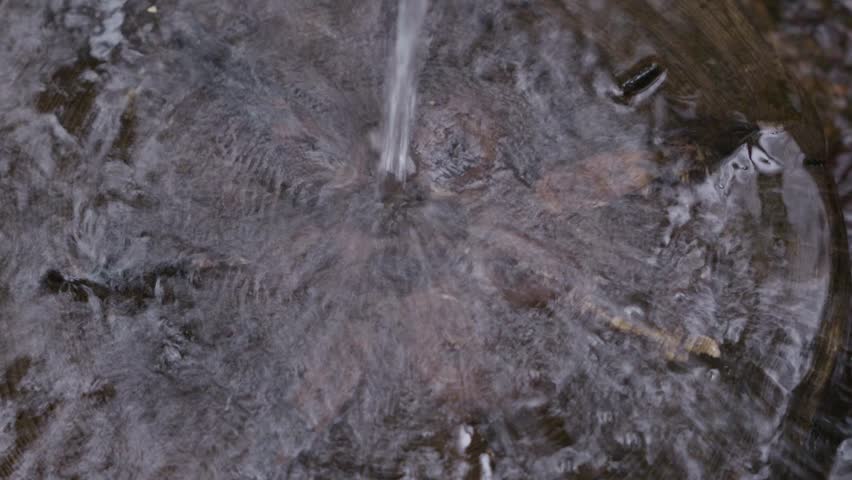 Clear water from a forest spring falls onto a wooden log slice, creating natural splashes and texture. Close-up outdoor scene highlighting movement, purity, and raw nature. High quality 4k footage