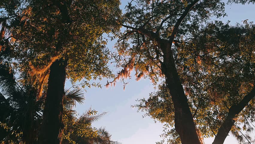 Warm sunset light reflects across a still lake, framed by trees and reeds, with a small gazebo resting peacefully on the water’s surface.